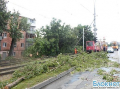 В столице Кубани пенсионерка пострадала при падении дерева