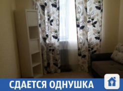 Не элитная, но ухоженная квартира сдается в Краснодаре