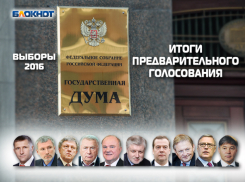 Второе предварительное голосование по выборам в Госдуму выиграла партия «Единая Россия»