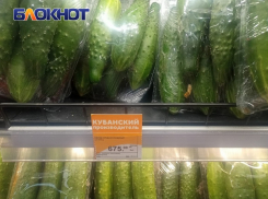 В Краснодаре за неделю на 10,9% подорожали огурцы: как изменились цены