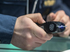  Преступная банда на Кубани электрошокером пытала семью с детьми