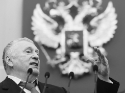 «Не должен пустовать ни один гектар»: предсказания Жириновского о Кубани сбылись