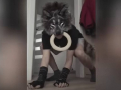 «Тогда пусть и сено едят»: краснодарцы раскритиковали подражающих животным квадроберов