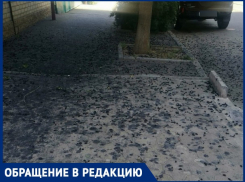 Шелковица и падающие ветки терроризируют жителей Краснодара