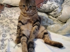 Туманный день ожидается на Кубани