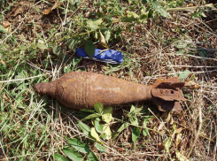 В Апшеронском районе в лесу найдено 39 минометных снарядов