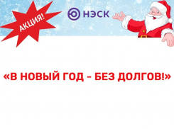 Компания НЭСК спишет пеню должникам перед Новым годом