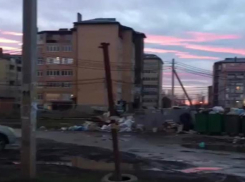Показательную уборку мусора устроили в одном из захламленных дворов Краснодара
