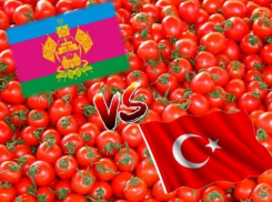 Вениамин Кондратьев: Турецкие томаты возвращаются на прилавки краснодарских магазинов 