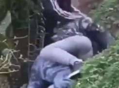 «Маленькие волки»: подростки жестоко избили охранника в Краснодарском крае