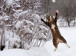 Синоптики Кубани прогнозируют резкое похолодание и мокрый снег