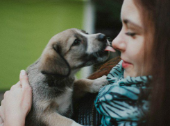 Власти города не будут закрывать «Краснодог»