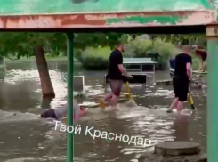 Краснодарцы устроили заплыв на улице Российской