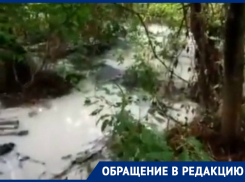 Жительница Кубани пожаловалась на ручей из химических вод