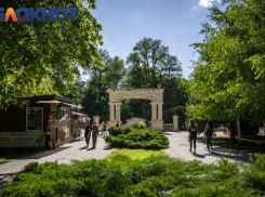 Курортный сезон в Горячем Ключе начнётся с квеста за 160 тысяч рублей