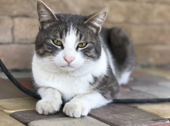 Дождь и гроза пришли в Краснодарский край