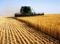 Губернатор Краснодарского края выделил семь миллиардов рублей на поддержку аграриев