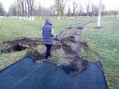 Кусок земли посреди рощи заасфальтировали на Кубани