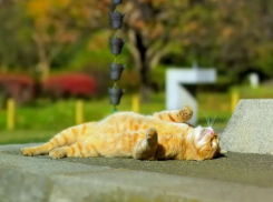  Дождь с градом собьют температуру на Кубани 