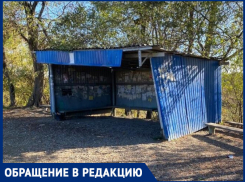 Мэрию Краснодара и перевозчиков обвинили в создании «адских» условий для водителей и пассажиров