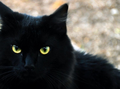 В пятницу 13-го небо над Кубанью затянут тучи