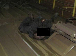 В Новороссийске убило током мужчину, который прыгнул с моста на крышу поезда