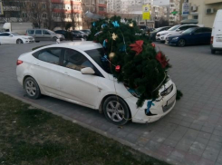 «И полетели елки!» - в Новороссийске продолжает бушевать ветер