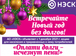 Новый год без долгов: «НЭСК» напоминает о своевременной оплате за потребленную электроэнергию
