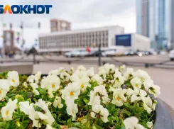 Более 60 мероприятий пройдут в Краснодаре в рамках весенне-летней событийной кампании