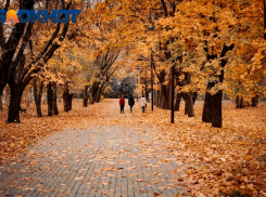 Краснодарцев предупредили о сильных магнитных бурях