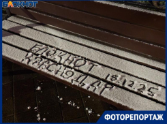 Незаметно для жителей Краснодар припорошило снегом: ночные кадры