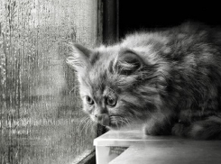 Новая неделя на Кубани начнется с сильного дождя и грозы