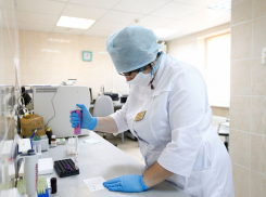 Кубань побила очередной рекорд по числу заболевших коронавирусом