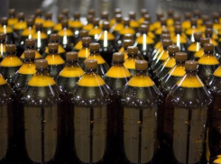 У жительницы Новороссийска полицейские изъяли более 200 литров вина