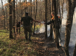 Три природных пожара зафиксированы на Кубани 