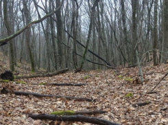 В Краснодарском крае заблудился 15-летний подросток