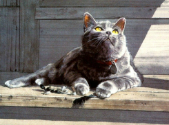 После долгих капризов погода на Кубани «успокоилась»