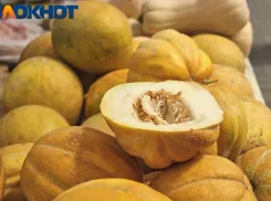 Арбузы, дыни, молодая кукуруза: в Краснодаре открылись ярмарки выходного дня
