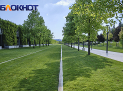 В Краснодаре парк Галицкого готовят к зиме