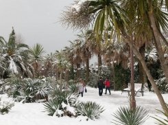 В Сочи ожидается сильный мороз до минус 10 градусов 