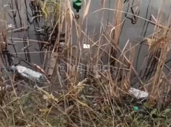 Покровские озера в Краснодаре превратили в свалку мусора