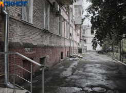 Фейки о «злом медведе»: краснодарский политолог о запрете американцам посещать Кубань