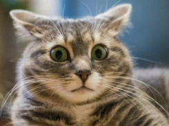 Небольшие осадки прогнозируют синоптики на Кубани 21 января