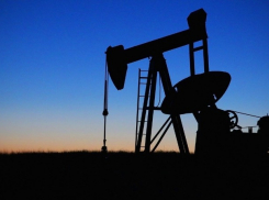 На Кубани впервые за 10 лет открыли нефтяное месторождение