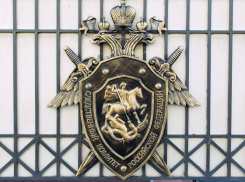 Бастрыкин взял на контроль дело о бросившей 5 детей матери в Краснодарском крае