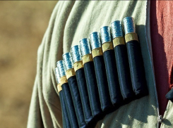 Заместитель атамана в Анапе подделал бумаги ради земельного участка