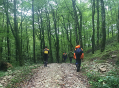 Пенсионера-грибника нашли через два дня в лесах Кубани