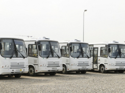 В Краснодаре начнут работать сезонные автобусные маршруты 