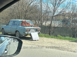 Клубнику за 300 рублей нашли на Ростовском шоссе в Краснодаре