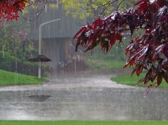 «Приплыли!»: На Кубань возвращаются грозы и дожди